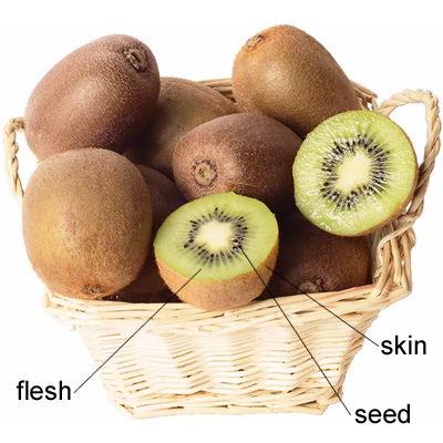 kiwi fruit_kiwi fruit的解释_kiwi fruit的意思_